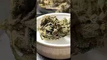 God in the Grass Video Thumbnail