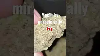 Mac1+ by miracle vally #cannabismedicine