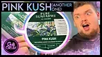 Pure Sunfarms Pink Kush - Medical Cannabis  Review