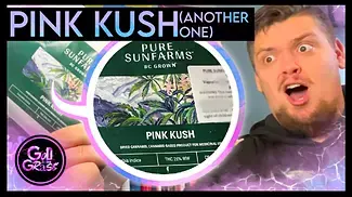 Pure Sunfarms Pink Kush - Medical Cannabis  Review