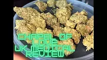 ERB B4S Video Thumbnail