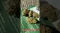 Video Thumbnail: 420Medical