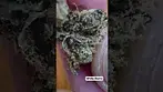 Craft Botanics- White Runtz - T28 - Sweet smooth with a turbo button.