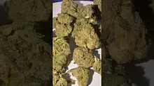Medi Blaze Video Thumbnail