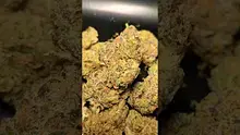 PrescribedBouquet Video Thumbnail