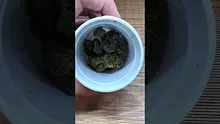 imhighngl Video Thumbnail