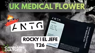 UK MEDICAL | ANTG | ROCKY | EL JEFE | T26