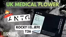 Cannabis Culture  Video Thumbnail
