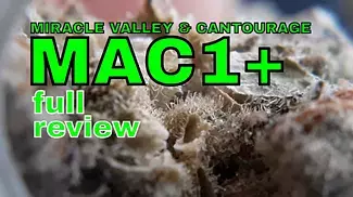 MAC1+ | Miracle Valley & Cantourage | £10/g | 23.6% | FULL REVIEW | 2 of 2