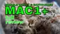 Video Thumbnail: Smacksalad