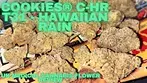Cookies® C-HR T31 - Hawaiian Rain - UK Medical Cannabis Flower Review