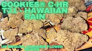 Cookies® C-HR T31 - Hawaiian Rain - UK Medical Cannabis Flower Review