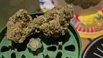 Greyscales PG T24 Pineapple Grape Medical Cannabis Flower