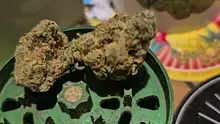 Keep Blazing Stay Amazing Video Thumbnail