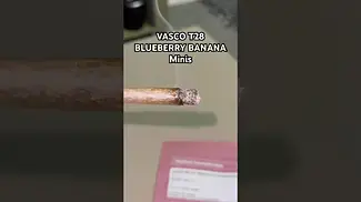 VASCO T28 BLUEBERRY BANANA Minis burn