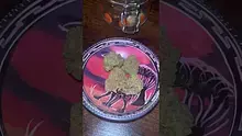 Smokey Mo Video Thumbnail