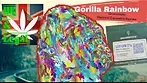 Grassroots gorilla rainbow medical cannabis uk review