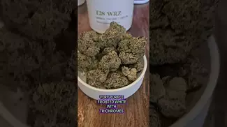 White Runtz - Craft Botanics T28 WRZ Medical Cannabis UK Montu Alternaleaf
