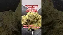 Review Budd Video Thumbnail