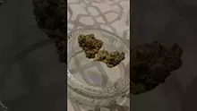 ERB B4S Video Thumbnail