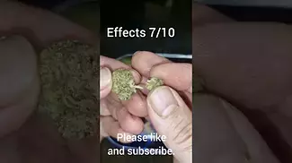 AAAA - Garlic Zkittlez | UK Medical