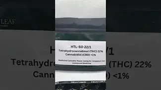 Hilltop Leaf | Blue Dream | UK Medical Cannabis | First Look 