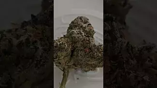 Chemango Kush 10g £85