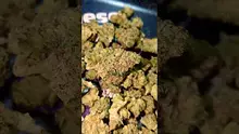 PrescribedBouquet Video Thumbnail
