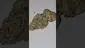 Video Thumbnail: AzztecMedia