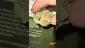Video Thumbnail: High Jack