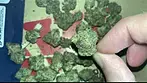  FIRE COOKIES  | UNOPENED | UK MEDICAL CANNABIS PATIENT FLOWER REVIEW 2025 