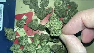  FIRE COOKIES  | UNOPENED | UK MEDICAL CANNABIS PATIENT FLOWER REVIEW 2025 