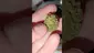 Video Thumbnail: WestPacks420