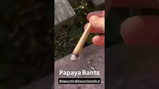 Papaya Bantz {Papaya x Banana  x Runtz} by @bignarstie @bignarstiemedical  #ukcannabis #420