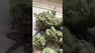 Uklegal #Sundaze Candy Store 24%thc 1%cbd #medicmind #medicated #ukmeds #mentalhealthawareness