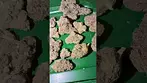 Muzo gastro pop  #uk #medical #patient #youtubeshorts #flowers