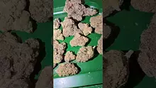 Bajan Video Thumbnail