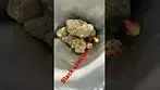 BLACK COOKIES