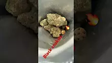 EdTalks420 Video Thumbnail