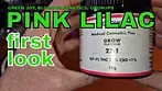 PINK LILAC | Green Joy, Blossom Gentics & Grow/IPS | FIRST LOOK