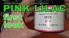 Smacksalad Video Thumbnail