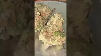 Sitka CHT T28 - Cherry Triumph - UK Medical Cannabis Flower Review
