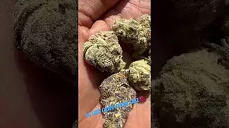 4c labs grape cream cake uk medical  #uk #medical #patient #youtubeshorts