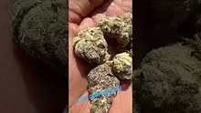 Bajan Video Thumbnail