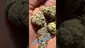 Video Thumbnail: Bajan