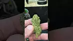 Watermelon Zkittles Medical cannabis 28%THC