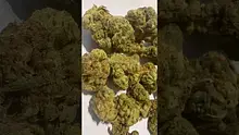 Strange Life 420 Video Thumbnail