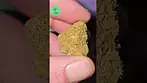 Cali X | Zkittles | UK Medical Flower Visuals