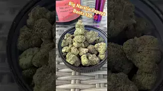 Big Narstie Papaya Bantz t26  #ukmedicalcannabis #painrelief #cannabisheals #medical #paitent