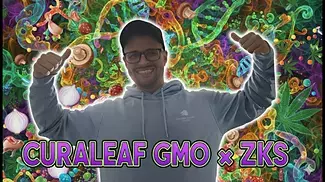Curaleaf GMO x ZKZ UK Medical Flower Review